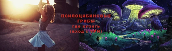 не бодяженный Арсеньев