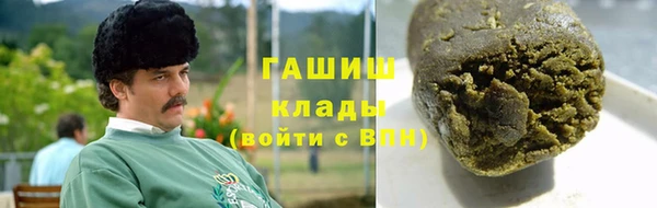 стаф Аркадак