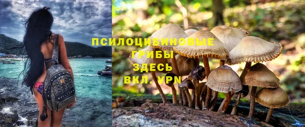 спиды Армянск