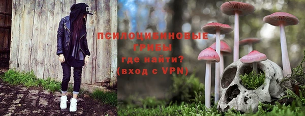 спиды Армянск