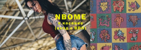 стаф Аркадак