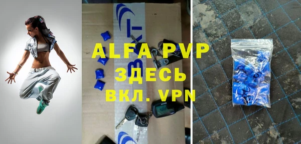 стаф Аркадак