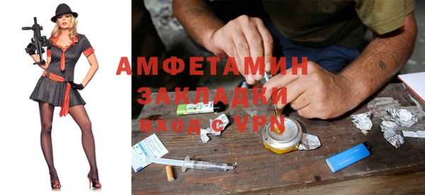 стаф Аркадак