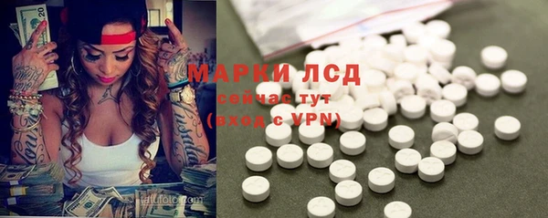 стаф Аркадак