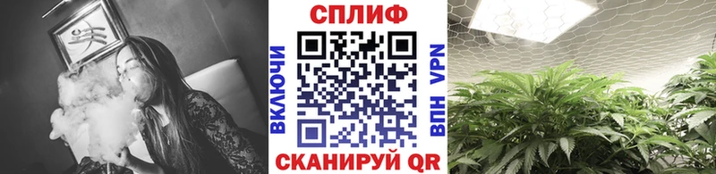 наркошоп  Серафимович  Бошки марихуана Amnesia 